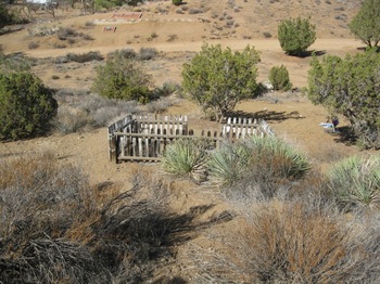 Collins,   Mary F. gravesite