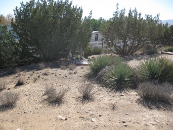 Venero, Carlos Alfonso gravesite