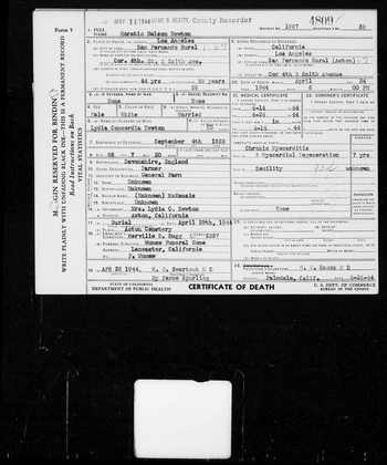 Newton, Horatio Nelson document