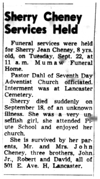 Cheney, Sherry Jean obituary