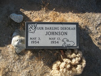 Johnson, Deborah Kaye gravesite