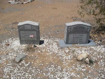 Molnar, Nicholas gravesite