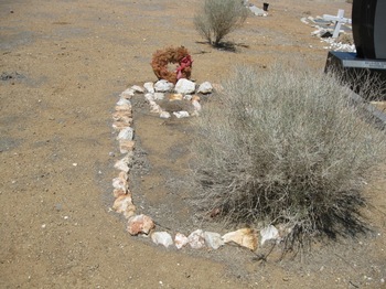 Burba, Walter Joseph gravesite