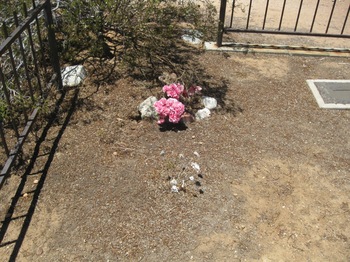 Robinson, Nancy Jean gravesite