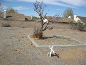 Sage,   Gwendolyn Day gravesite