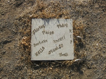 Shirley, Thaddeus Smith gravesite